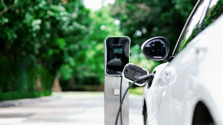 Electric Vehicles: flame retardants and UL 2596 test